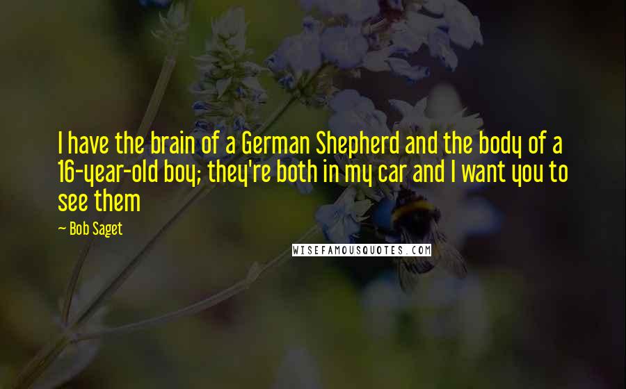 Bob Saget Quotes: I have the brain of a German Shepherd and the body of a 16-year-old boy; they're both in my car and I want you to see them