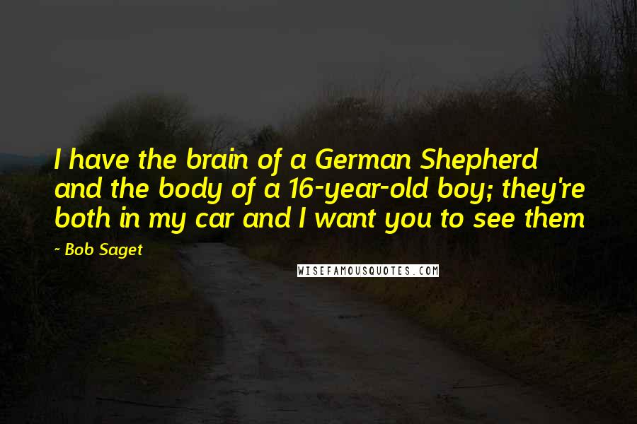 Bob Saget Quotes: I have the brain of a German Shepherd and the body of a 16-year-old boy; they're both in my car and I want you to see them