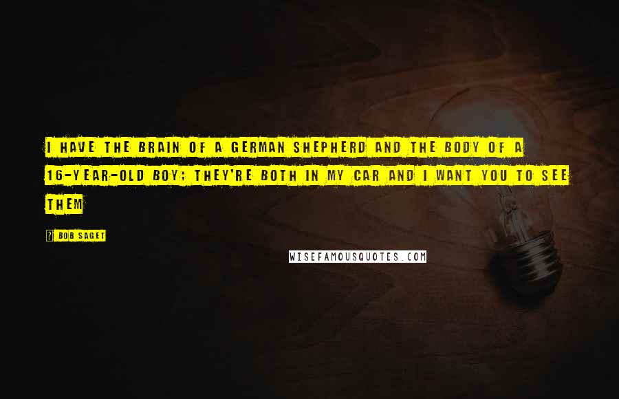 Bob Saget Quotes: I have the brain of a German Shepherd and the body of a 16-year-old boy; they're both in my car and I want you to see them