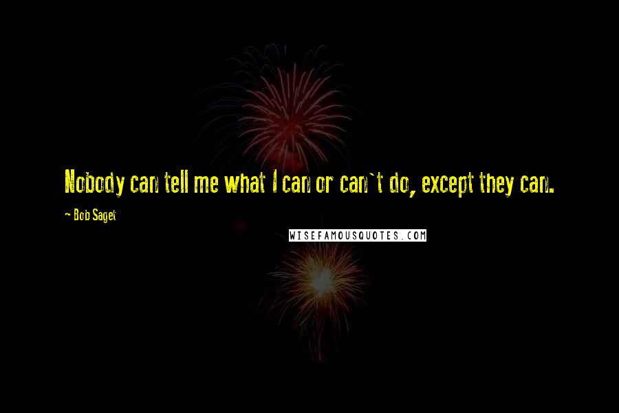 Bob Saget Quotes: Nobody can tell me what I can or can't do, except they can.