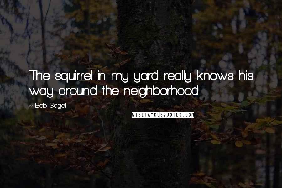 Bob Saget Quotes: The squirrel in my yard really knows his way around the neighborhood.