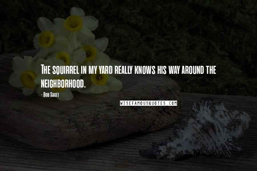 Bob Saget Quotes: The squirrel in my yard really knows his way around the neighborhood.