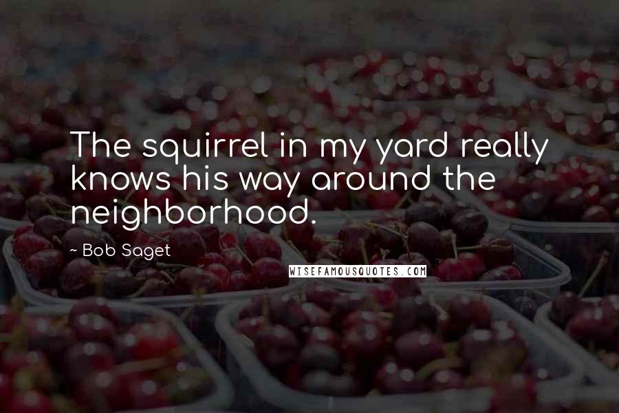 Bob Saget Quotes: The squirrel in my yard really knows his way around the neighborhood.