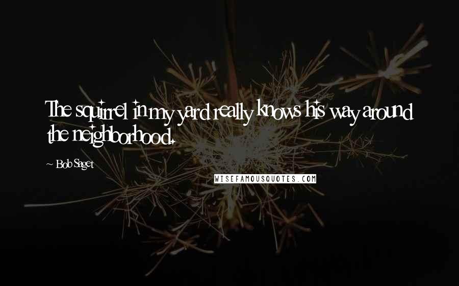 Bob Saget Quotes: The squirrel in my yard really knows his way around the neighborhood.