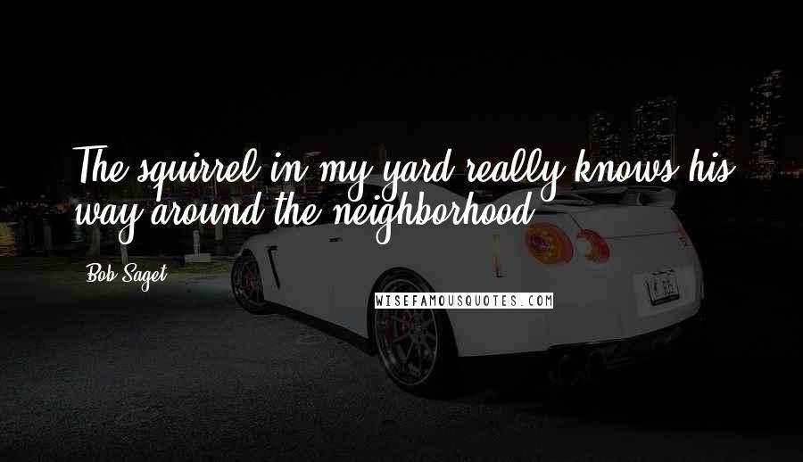 Bob Saget Quotes: The squirrel in my yard really knows his way around the neighborhood.