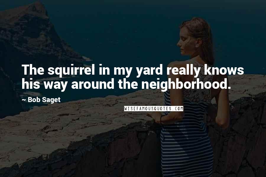 Bob Saget Quotes: The squirrel in my yard really knows his way around the neighborhood.