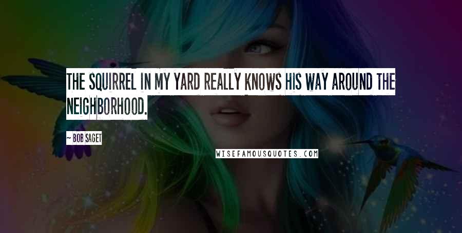 Bob Saget Quotes: The squirrel in my yard really knows his way around the neighborhood.