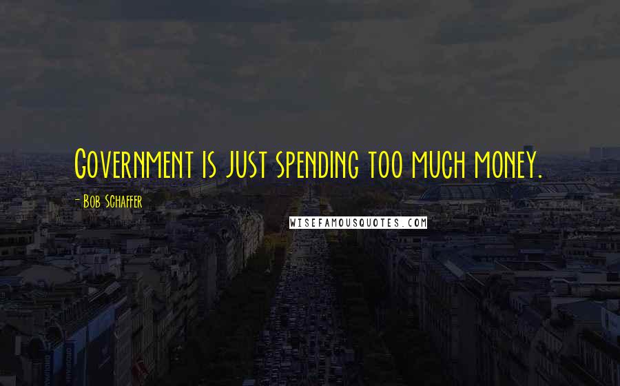 Bob Schaffer Quotes: Government is just spending too much money.