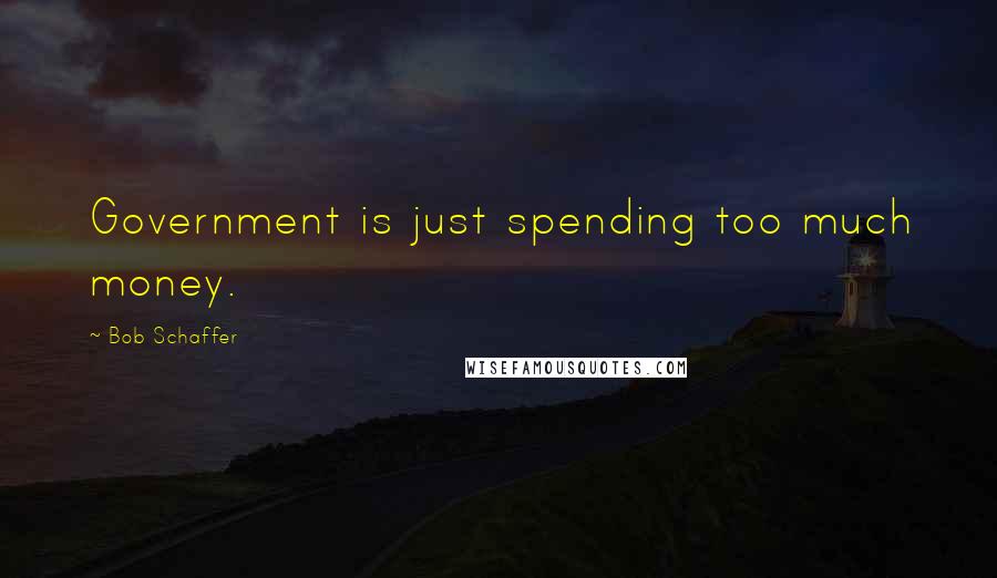 Bob Schaffer Quotes: Government is just spending too much money.