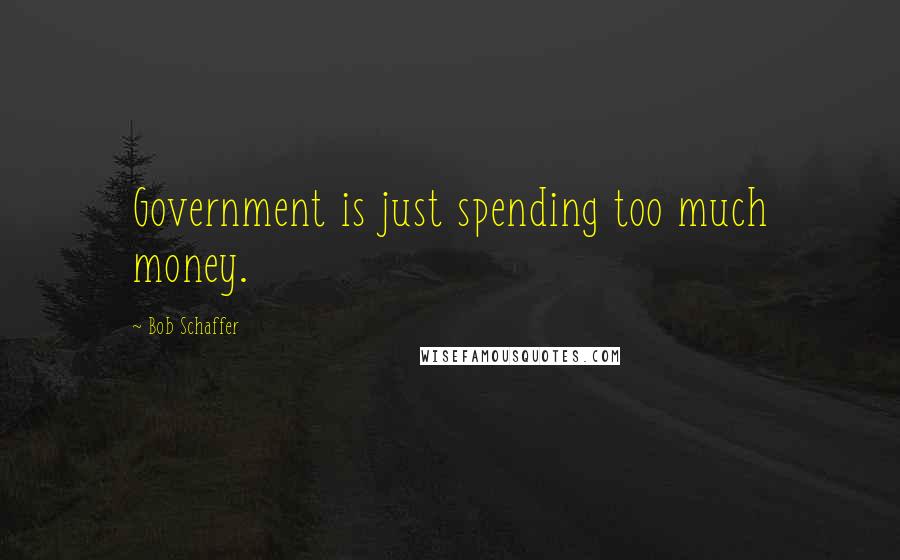 Bob Schaffer Quotes: Government is just spending too much money.