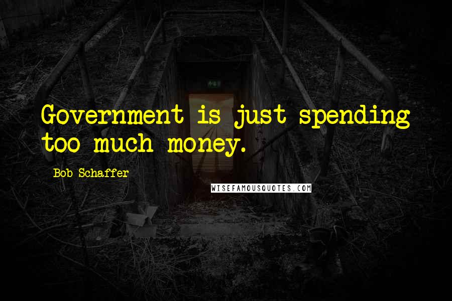 Bob Schaffer Quotes: Government is just spending too much money.