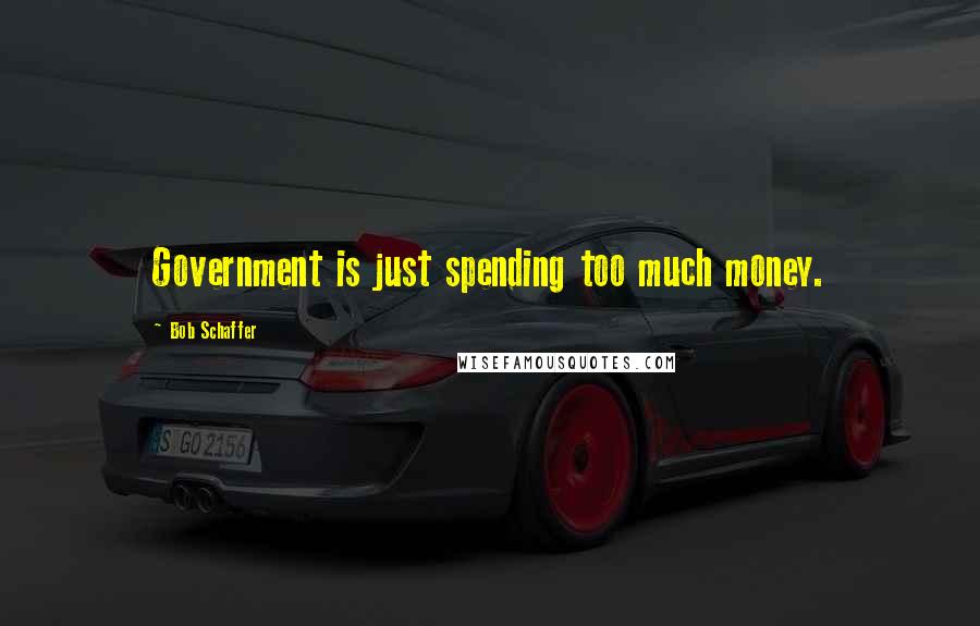 Bob Schaffer Quotes: Government is just spending too much money.