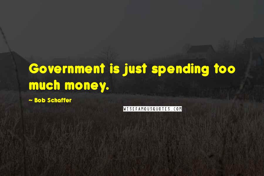 Bob Schaffer Quotes: Government is just spending too much money.