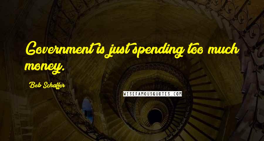 Bob Schaffer Quotes: Government is just spending too much money.