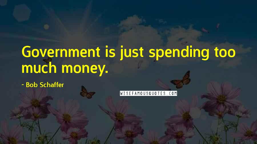 Bob Schaffer Quotes: Government is just spending too much money.