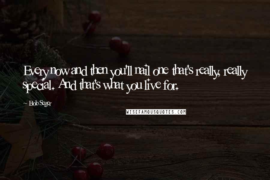 Bob Seger Quotes: Every now and then you'll nail one that's really, really special. And that's what you live for.