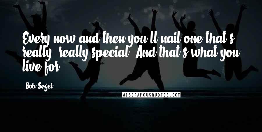 Bob Seger Quotes: Every now and then you'll nail one that's really, really special. And that's what you live for.