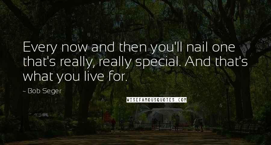 Bob Seger Quotes: Every now and then you'll nail one that's really, really special. And that's what you live for.