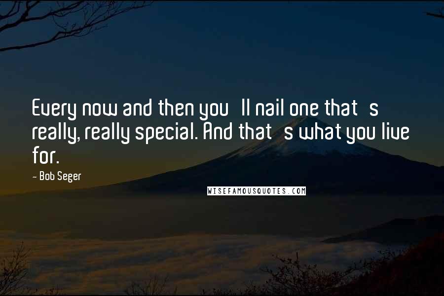 Bob Seger Quotes: Every now and then you'll nail one that's really, really special. And that's what you live for.