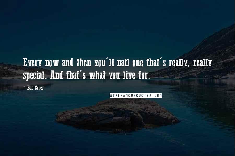 Bob Seger Quotes: Every now and then you'll nail one that's really, really special. And that's what you live for.