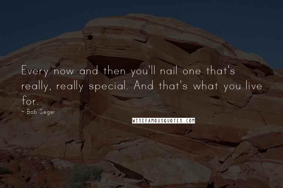 Bob Seger Quotes: Every now and then you'll nail one that's really, really special. And that's what you live for.
