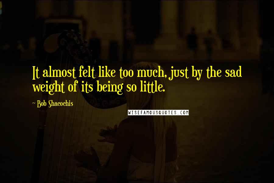 Bob Shacochis Quotes: It almost felt like too much, just by the sad weight of its being so little.