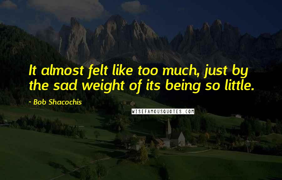 Bob Shacochis Quotes: It almost felt like too much, just by the sad weight of its being so little.