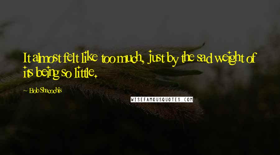 Bob Shacochis Quotes: It almost felt like too much, just by the sad weight of its being so little.