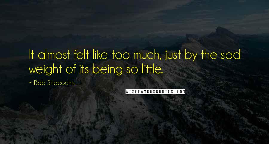 Bob Shacochis Quotes: It almost felt like too much, just by the sad weight of its being so little.