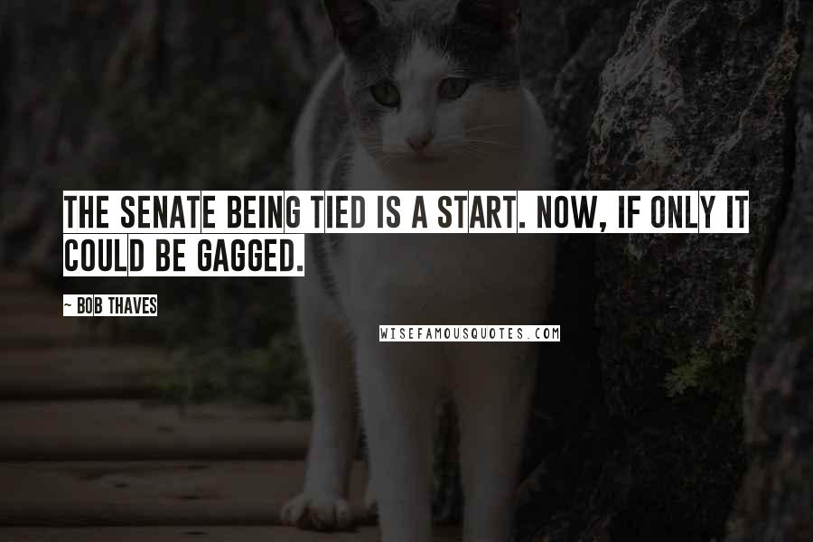 Bob Thaves Quotes: The Senate being tied is a start. Now, if only it could be gagged.