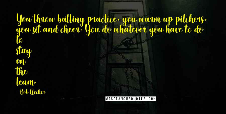 Bob Uecker Quotes: You throw batting practice, you warm up pitchers, you sit and cheer. You do whatever you have to do to stay on the team.