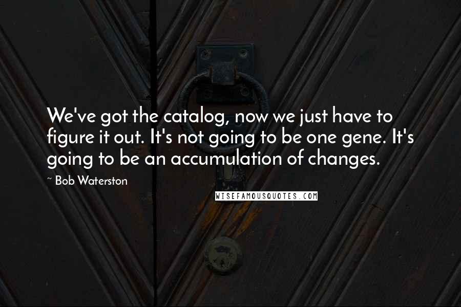 Bob Waterston Quotes: We've got the catalog, now we just have to figure it out. It's not going to be one gene. It's going to be an accumulation of changes.
