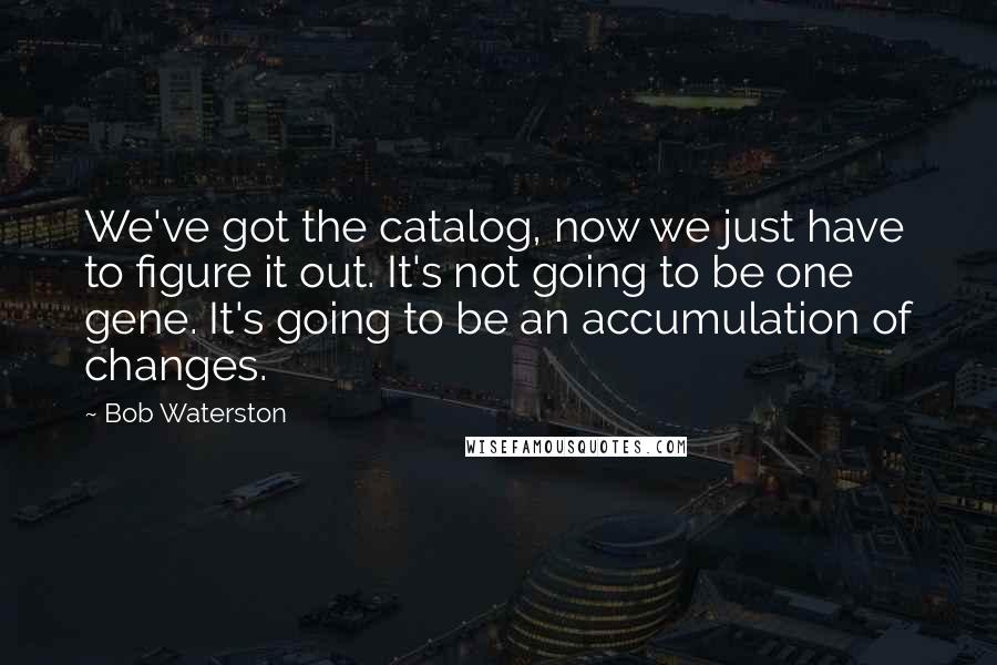 Bob Waterston Quotes: We've got the catalog, now we just have to figure it out. It's not going to be one gene. It's going to be an accumulation of changes.