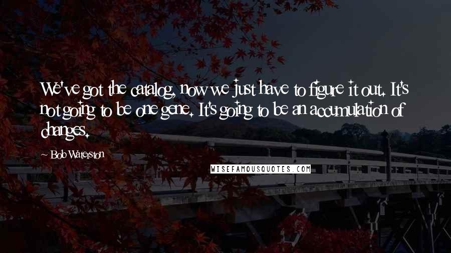 Bob Waterston Quotes: We've got the catalog, now we just have to figure it out. It's not going to be one gene. It's going to be an accumulation of changes.