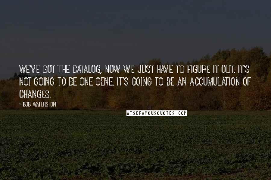 Bob Waterston Quotes: We've got the catalog, now we just have to figure it out. It's not going to be one gene. It's going to be an accumulation of changes.