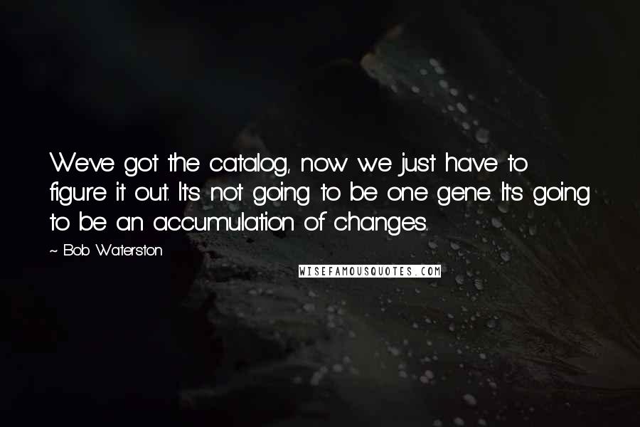 Bob Waterston Quotes: We've got the catalog, now we just have to figure it out. It's not going to be one gene. It's going to be an accumulation of changes.