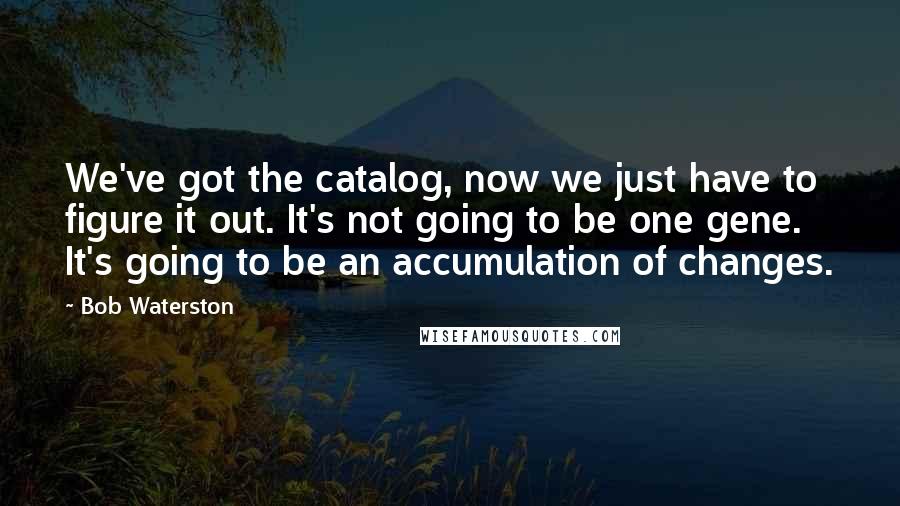 Bob Waterston Quotes: We've got the catalog, now we just have to figure it out. It's not going to be one gene. It's going to be an accumulation of changes.