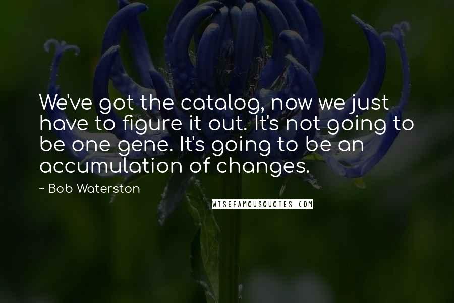 Bob Waterston Quotes: We've got the catalog, now we just have to figure it out. It's not going to be one gene. It's going to be an accumulation of changes.