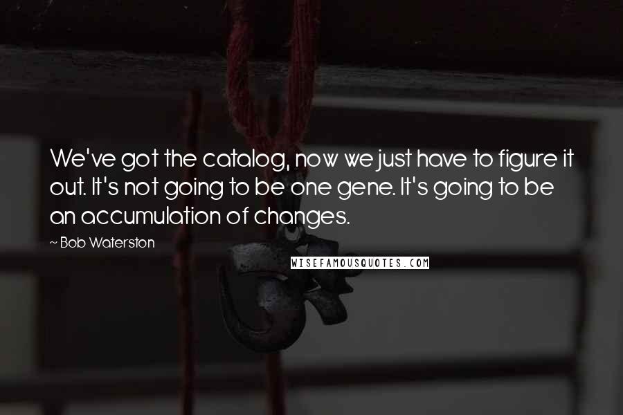 Bob Waterston Quotes: We've got the catalog, now we just have to figure it out. It's not going to be one gene. It's going to be an accumulation of changes.