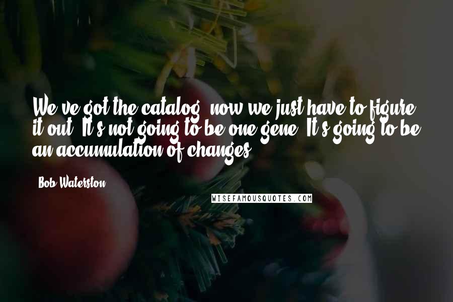 Bob Waterston Quotes: We've got the catalog, now we just have to figure it out. It's not going to be one gene. It's going to be an accumulation of changes.