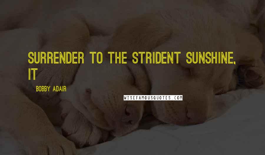 Bobby Adair Quotes: surrender to the strident sunshine, it