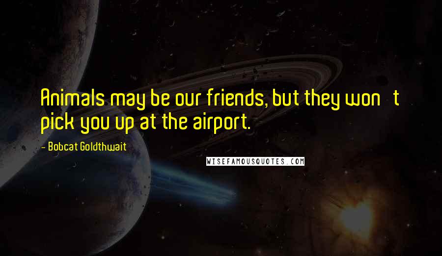 Bobcat Goldthwait Quotes: Animals may be our friends, but they won't pick you up at the airport.