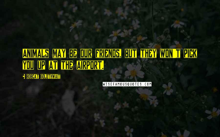 Bobcat Goldthwait Quotes: Animals may be our friends, but they won't pick you up at the airport.