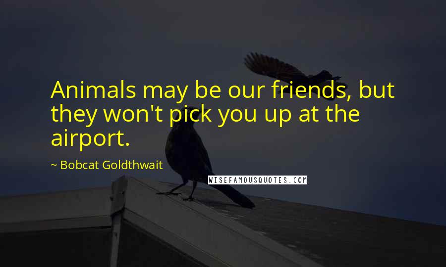 Bobcat Goldthwait Quotes: Animals may be our friends, but they won't pick you up at the airport.