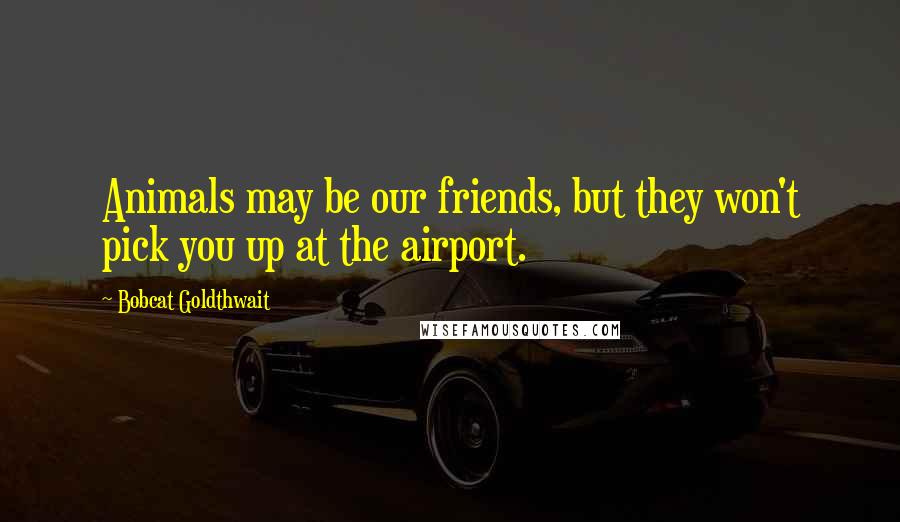 Bobcat Goldthwait Quotes: Animals may be our friends, but they won't pick you up at the airport.