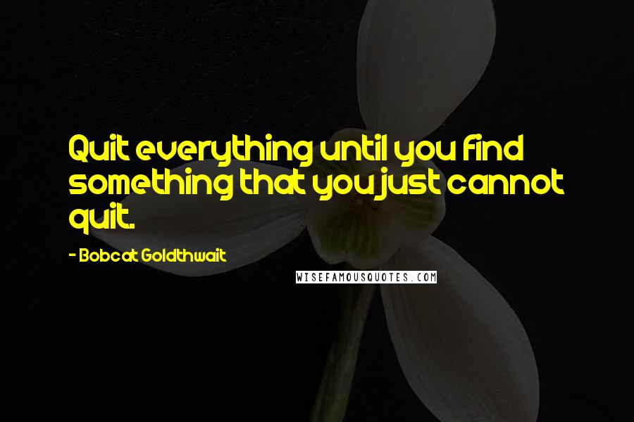 Bobcat Goldthwait Quotes: Quit everything until you find something that you just cannot quit.