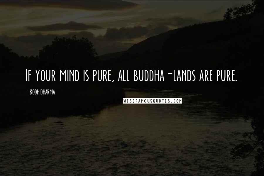 Bodhidharma Quotes: If your mind is pure, all buddha-lands are pure.