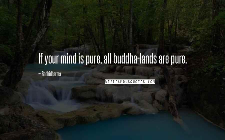 Bodhidharma Quotes: If your mind is pure, all buddha-lands are pure.