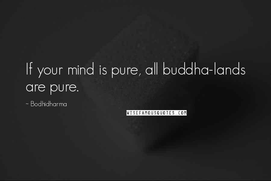 Bodhidharma Quotes: If your mind is pure, all buddha-lands are pure.