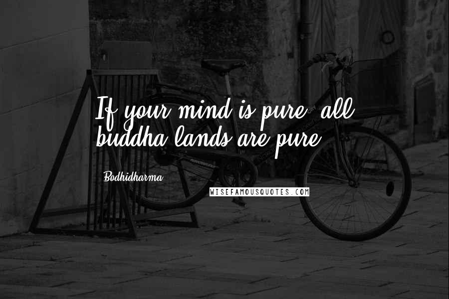 Bodhidharma Quotes: If your mind is pure, all buddha-lands are pure.